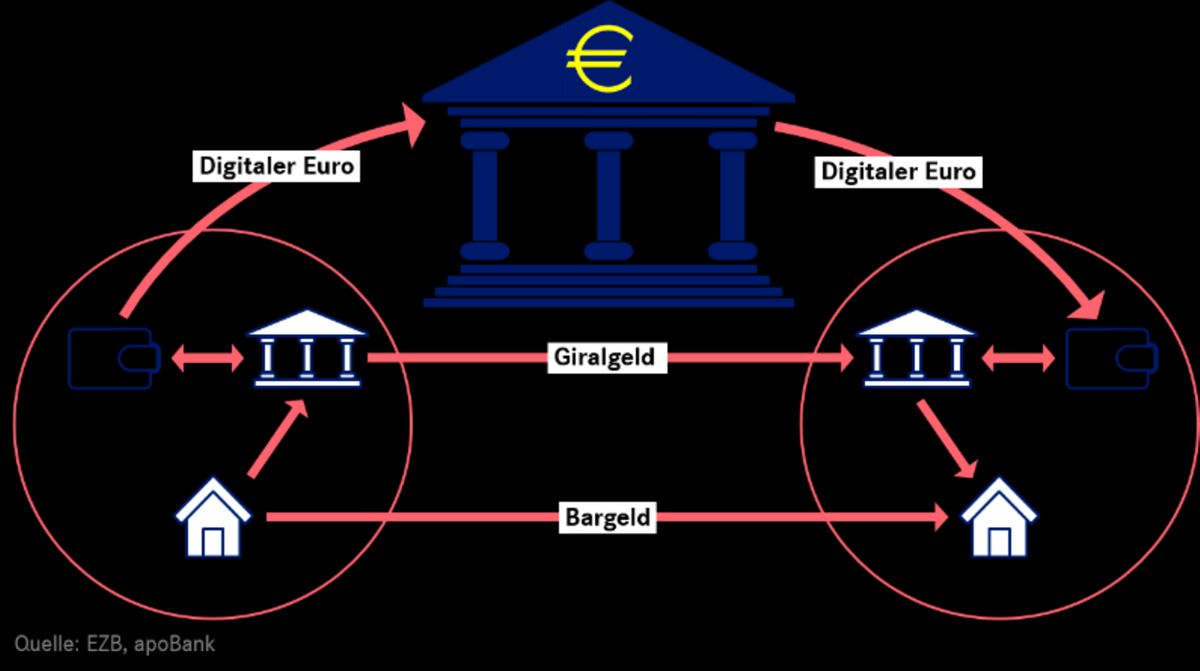 Grafik Zahlungswege Euroraum