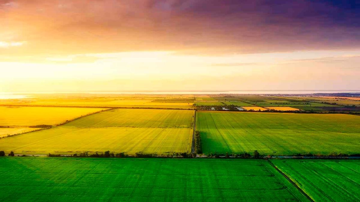 Attraktives Investment: Ackerland als Anlage